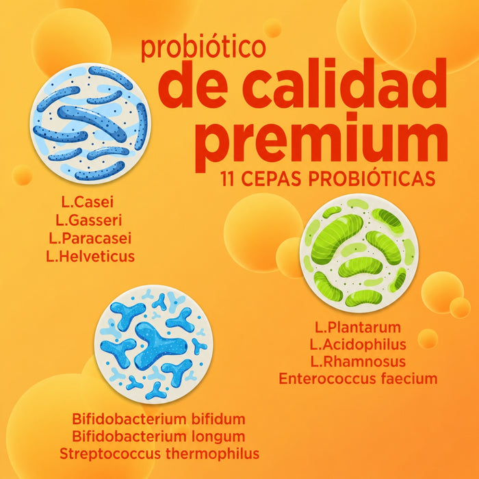 Probiótico GUT response™ (30 tabs masticables), Windmill