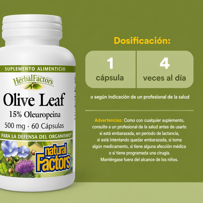 Hoja de Olivo 500 mg HerbalFactors® (60 caps), Natural Factors