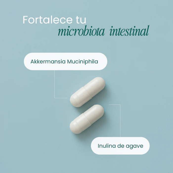 Apoyo a la Microbiota, Akkermansia Support (60 caps), NutriADN