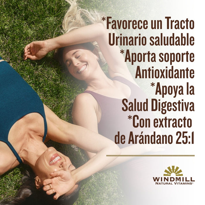 Arándano 250 mg (60 caps), Windmill