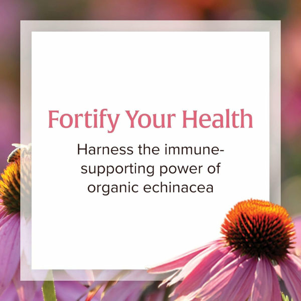 Sistema Inmune, Anti-V Formula (60 softgels), Natural Factors