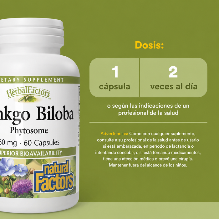 Ginkgo Biloba Fitosoma HerbalFactors® 60 mg (60 caps), Natural Factors