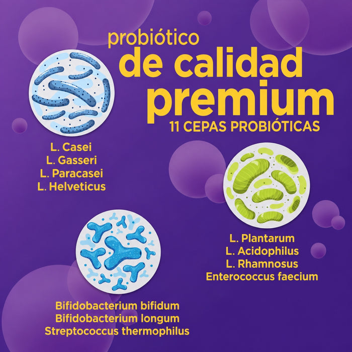 Probiótico para Dormir GUT response™ (30 caps), Windmill