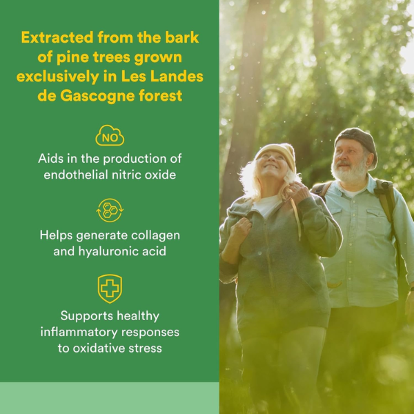 Extracto de Corteza de Pino Pycnogenol® 25 mg (60 vegcaps), Natural Factors