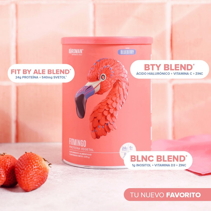 Fitmingo Protein Blueberry (510 g), Birdman