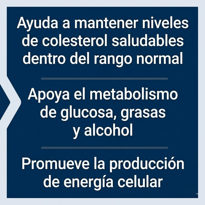 Vitamina B3 Niacina 500 mg (100 caps), Life Extension