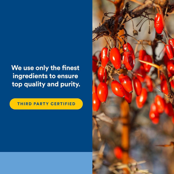 WellBetX® Berberina 1000 mg (120 vcap), Natural Factors