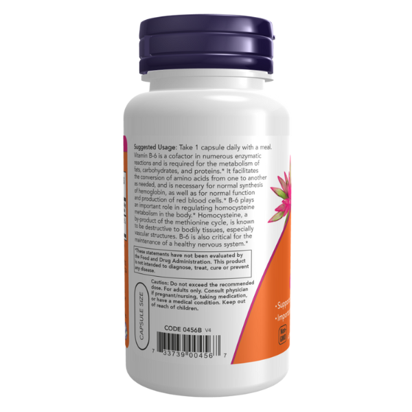 Vitamina B-6 100 mg Cardiovascular (250 caps)