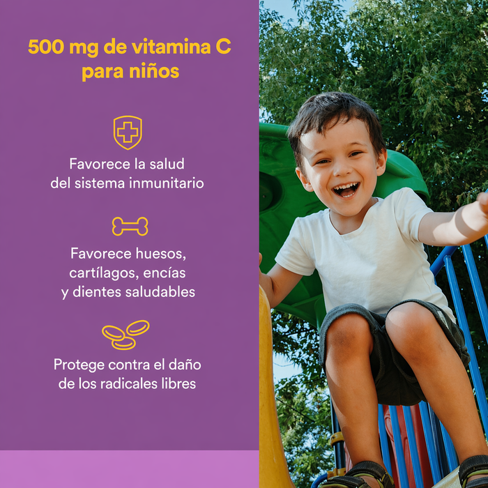 EX Vitamina C 500 mg Sabor a Mora Azul, Frambuesas & Arandanos (90 tabs), Natural Factors