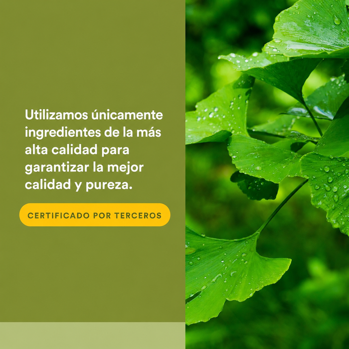 Ginkgo Biloba Fitosoma HerbalFactors® 60 mg (60 caps), Natural Factors