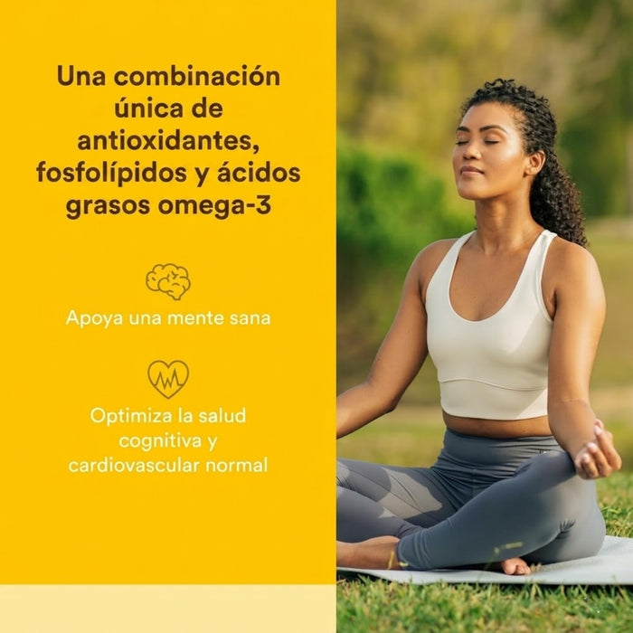 3 Brains® Higher Thoughts® Salud Cognitiva y Cardiovascular (90 softgels), Natural Factors