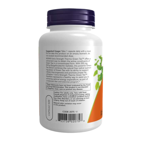Thermo Green Tea 700mg (90 veg caps)