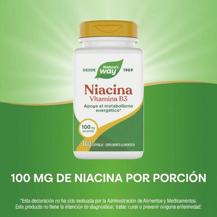 Niacina B3 100 mg (100 caps), Nature's Way