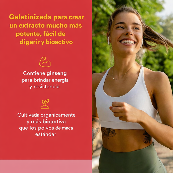 EX Concentrado de Maca Alta Potencia 500 mg MacaRich® (90 veg caps), Natural Factors