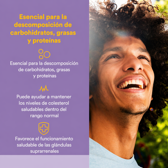 B3 Niacin 500 mg Sin Descarga (90 caps), Natural Factors