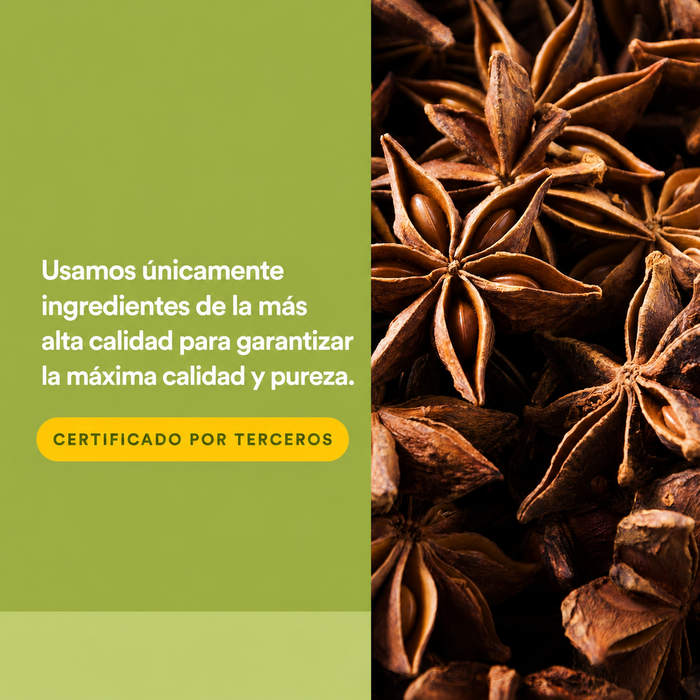DGL, Apoyo Digestivo (90 tabs masticables), Natural Factors