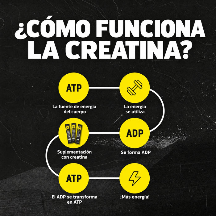 Creatina Clean 5 g (15 pack), Ascent