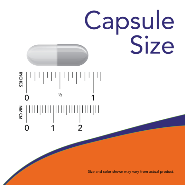 L-Carnosina 500 mg (50 veg caps)