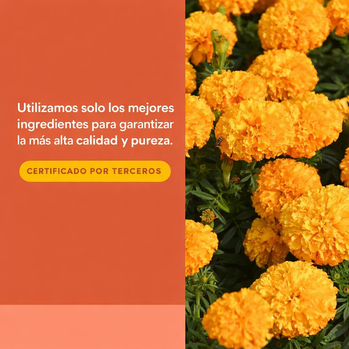 Luteina 20 mg (30 softgels), Natural Factors