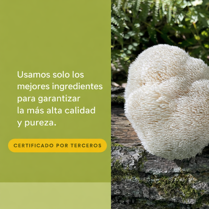 EX Whole Earth & Sea® Super Hongo (30 vcap), Natural Factors