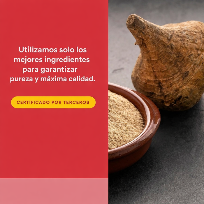 EX Concentrado de Maca Alta Potencia 500 mg MacaRich® (90 veg caps), Natural Factors