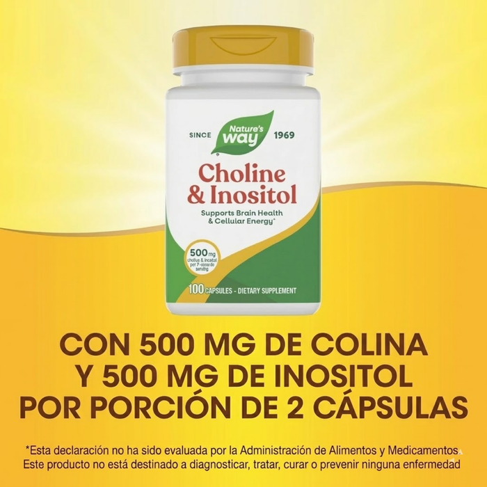 Colina e Inositol 1000 mg (100 caps), Nature's Way