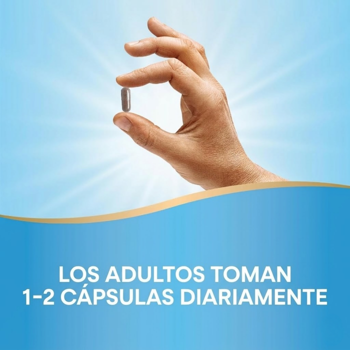 Ashwagandha, ayuda contra el estrés 500 mg (60 veg caps), Nature's Way