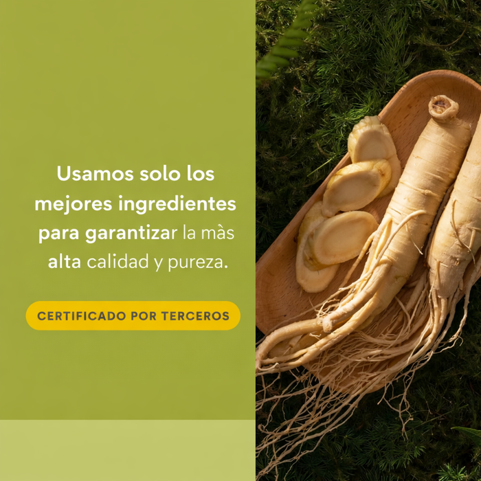 EX Panax Ginseng, HerbalFactors® (60 softgels), Natural Factors