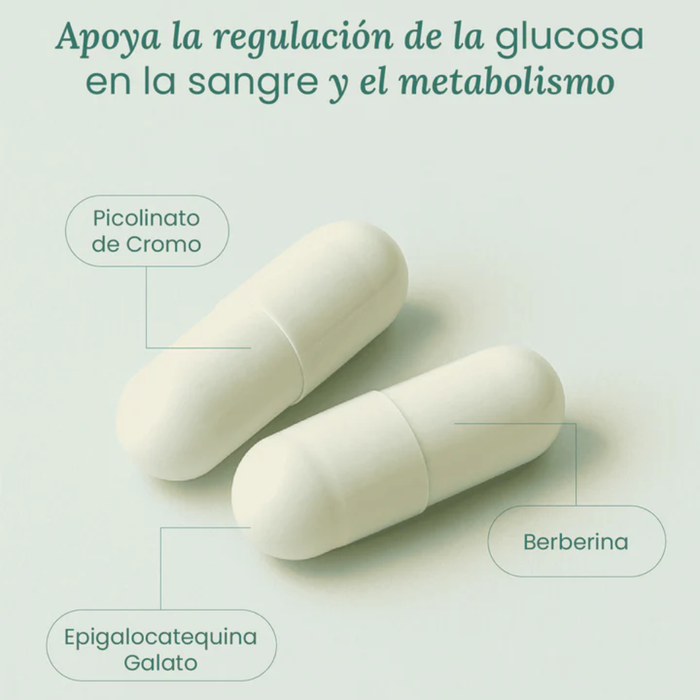 Metabolic Support para la Salud Metabólica (90 cápsulas) | NutriADN