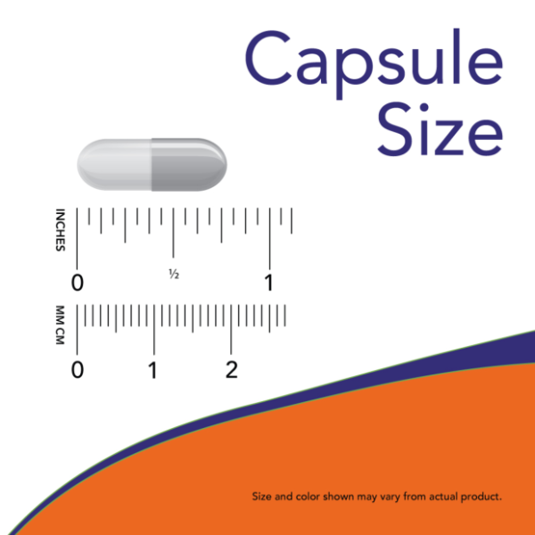 L-Teanina Doble Potencia 200 mg (60 veg caps)