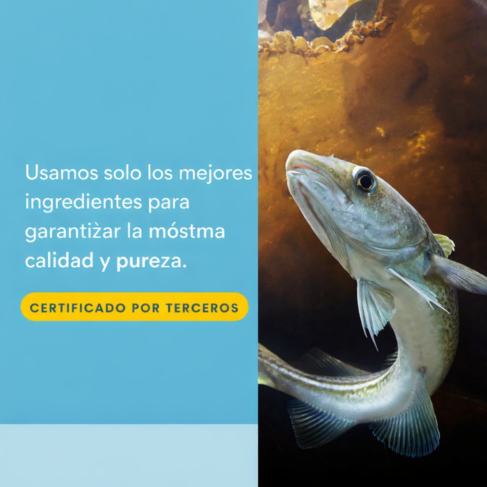 EX RxOmega-3 WomenSense® Flaxseed Enteripure® (120 softgels), Natural Factors