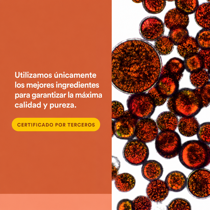 Astaxanthin Plus 4 mg (60 softgels), Natural Factors