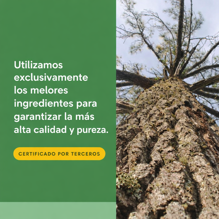 Extracto de Corteza de Pino Pycnogenol® 25 mg (60 vegcaps), Natural Factors