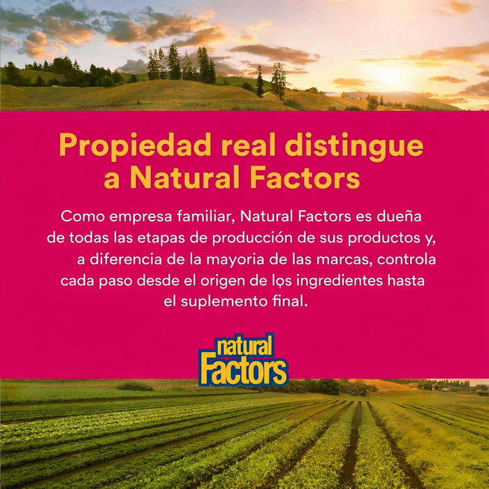 Vitamina C 1,000 mg Lanzamiento Cronometrado (90 tabs), Natural Factors