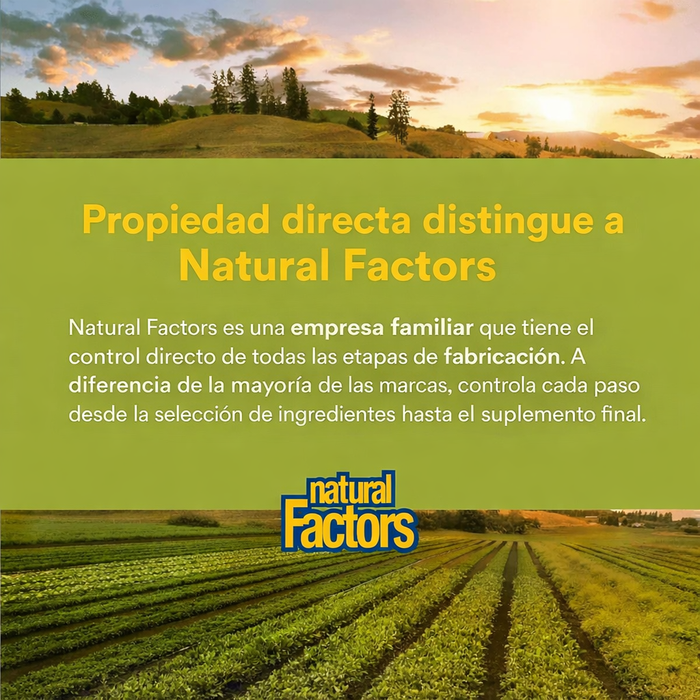 Carbon Activado 500 mg (90 softgels), Natural Factors