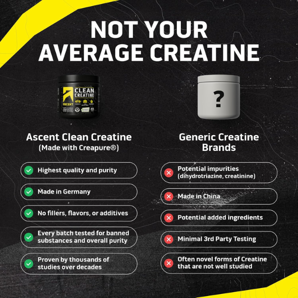 Creatina Clean Sin Sabor (7.94 oz / 225 g), Ascent