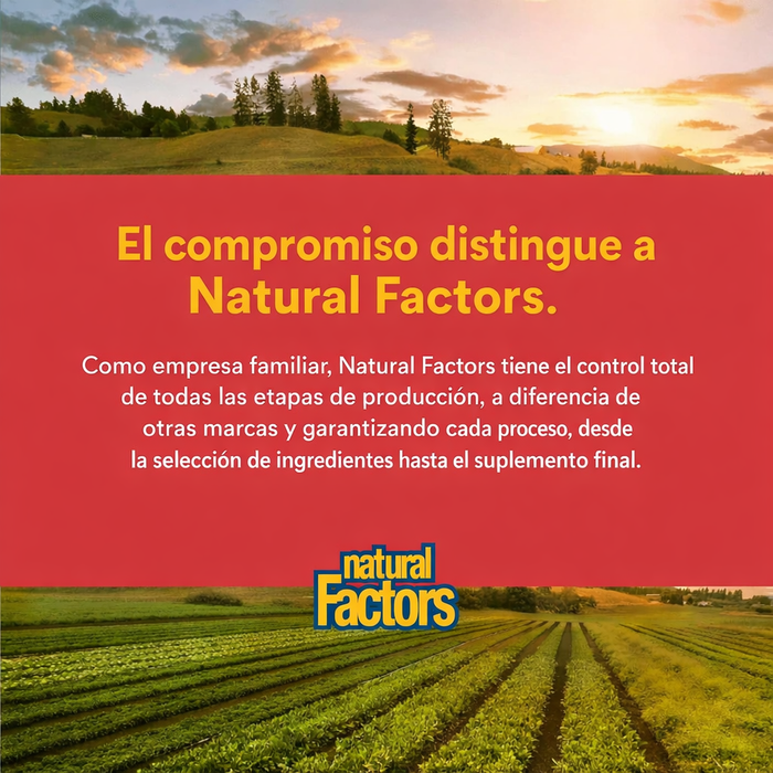 EX Concentrado de Maca Alta Potencia 500 mg MacaRich® (90 veg caps), Natural Factors