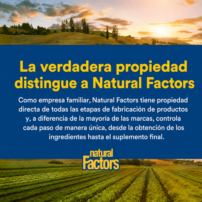 L-Carnitina 500 mg (60 vcap), Natural Factors