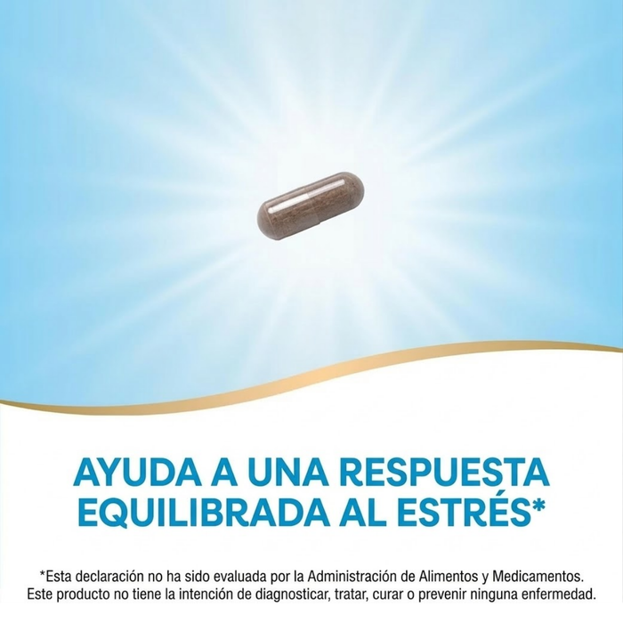 Ashwagandha, ayuda contra el estrés 500 mg (60 veg caps), Nature's Way