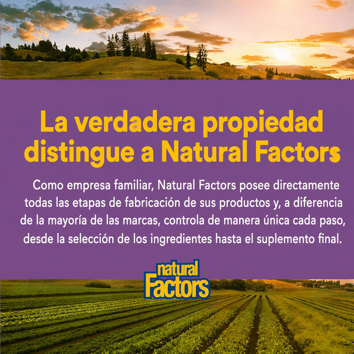 B3 Niacin 500 mg Sin Descarga (90 caps), Natural Factors