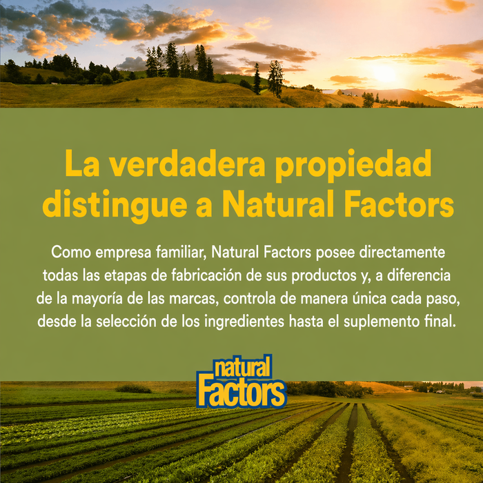 Hoja de Olivo 500 mg HerbalFactors® (60 caps), Natural Factors