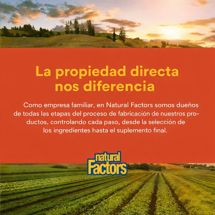 Complejo B de Alta Potencia 50 mg (90 caps), Natural Factors