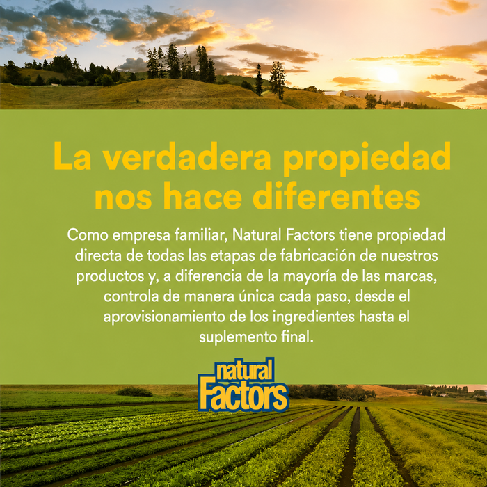 DGL, Apoyo Digestivo (90 tabs masticables), Natural Factors