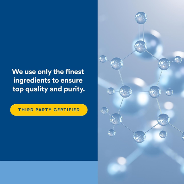 L-lisina Aminoácido 500 mg (180 veg caps), Natural Factors