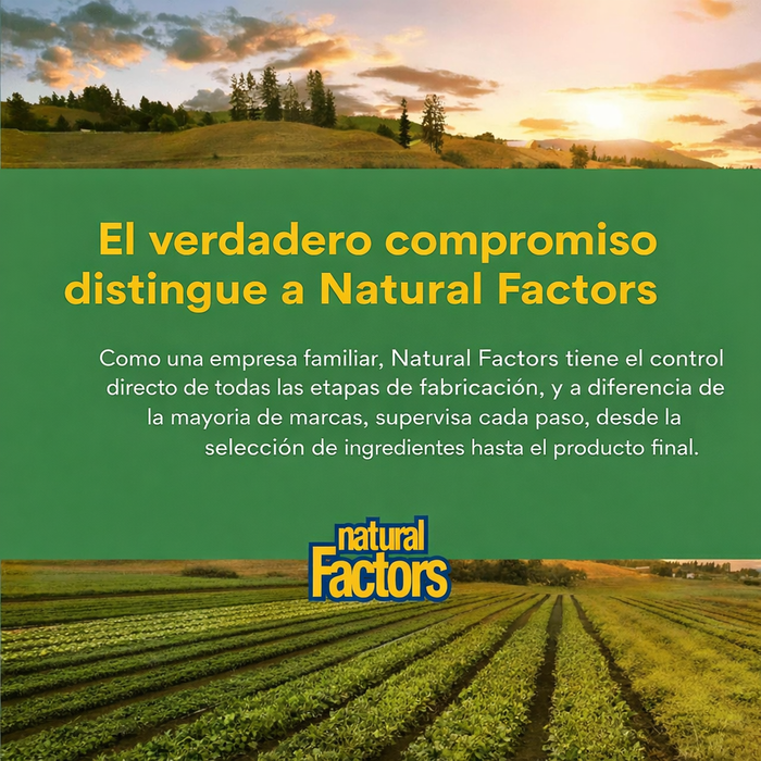 Cúrcuma y Bromelina 450 mg (90 caps), Natural Factors
