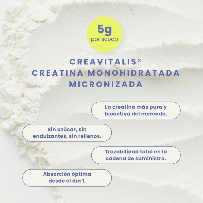 Creatine+ Creatina Monohidratada Micronizada Sin Sabor (300 g, 60 porciones), Reset Wellness