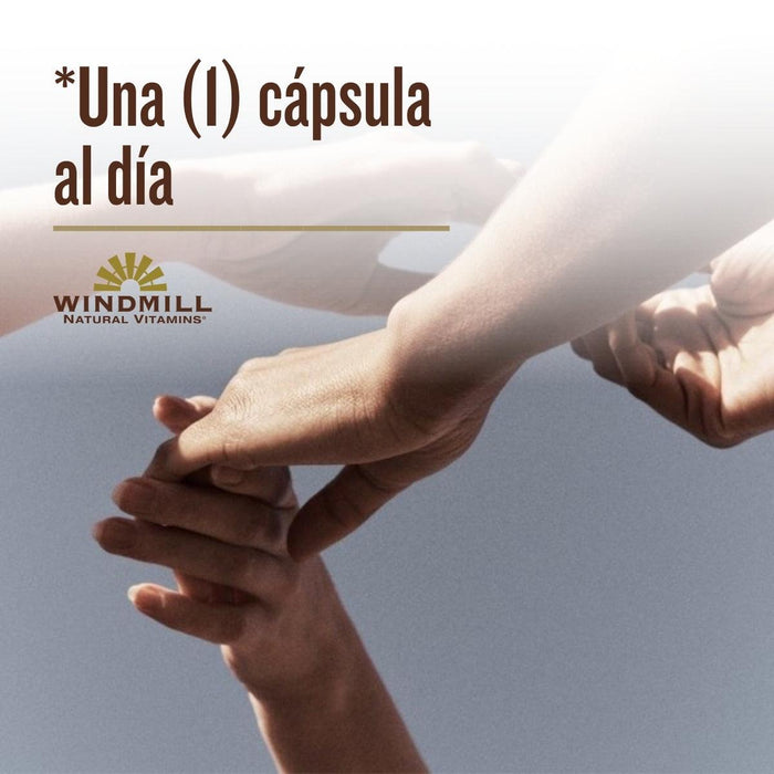Complejo de Cúrcuma con Pimienta Negra (60 caps), Windmill