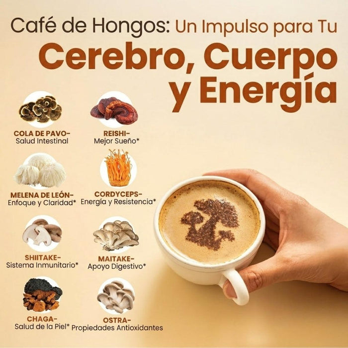 Café con Apoyo al Enfoque High Performance Rapid Fire® (180 g), Windmill